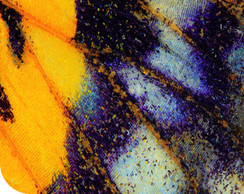 Sustainable Data Centre Solutions Digital Realty